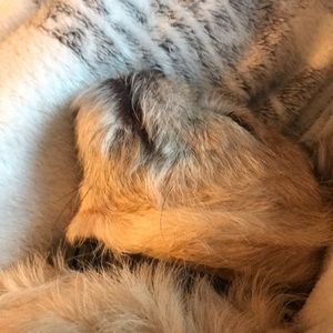 Meet your Posher, Lorraine